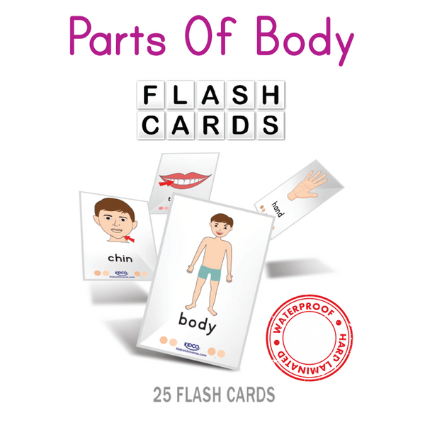 Parts of Body Flash Cards