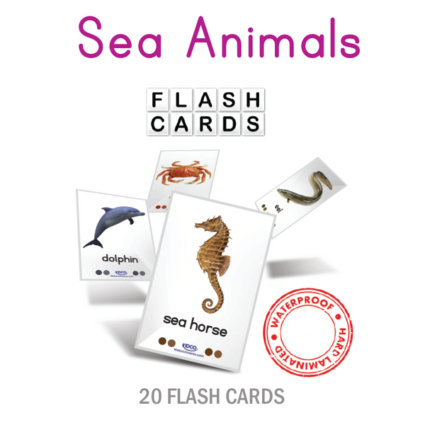 Sea Animals Flash Cards